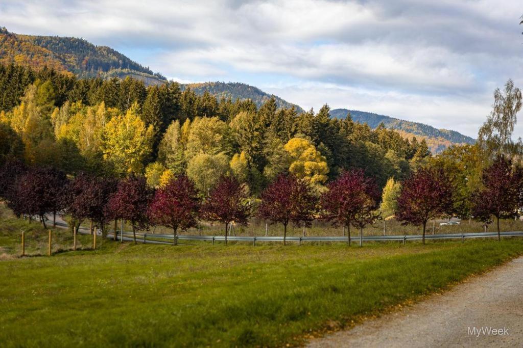 Domek Nad Zalewem Radkowskim Exteriör bild